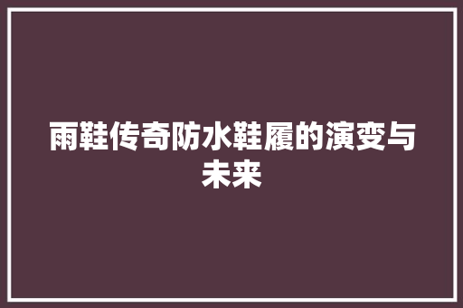 雨鞋传奇防水鞋履的演变与未来