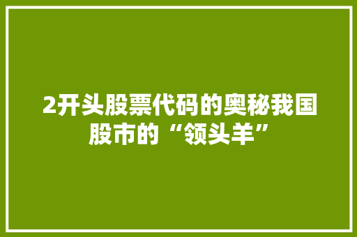 2开头股票代码的奥秘我国股市的“领头羊”