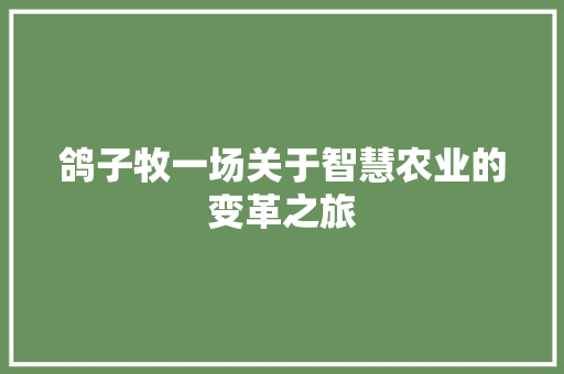 鸽子牧一场关于智慧农业的变革之旅