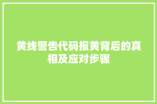 黄线警告代码报黄背后的真相及应对步骤