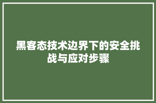 黑客态技术边界下的安全挑战与应对步骤