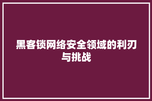 黑客锁网络安全领域的利刃与挑战