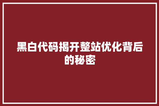 黑白代码揭开整站优化背后的秘密