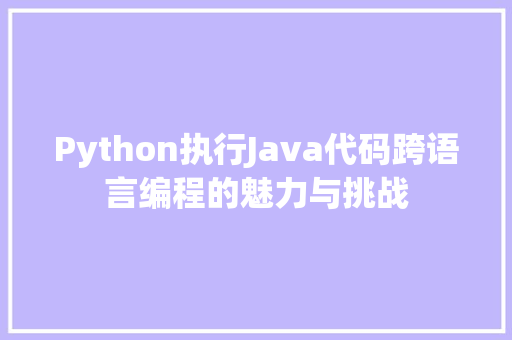 Python执行Java代码跨语言编程的魅力与挑战
