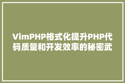 VimPHP格式化提升PHP代码质量和开发效率的秘密武器