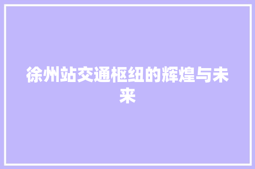 徐州站交通枢纽的辉煌与未来