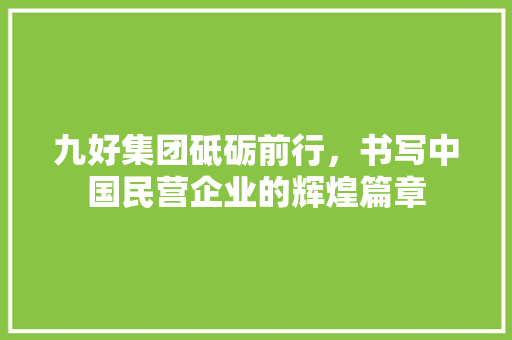 九好集团砥砺前行，书写中国民营企业的辉煌篇章