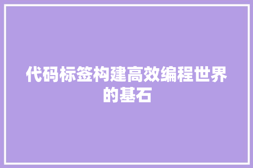 代码标签构建高效编程世界的基石