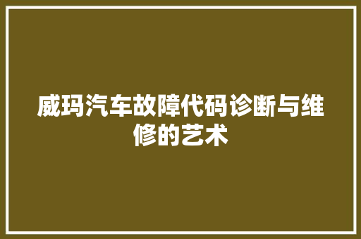 威玛汽车故障代码诊断与维修的艺术