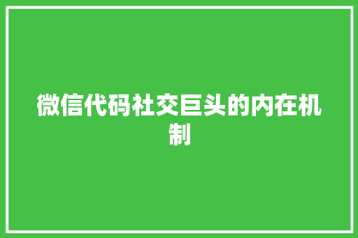 微信代码社交巨头的内在机制