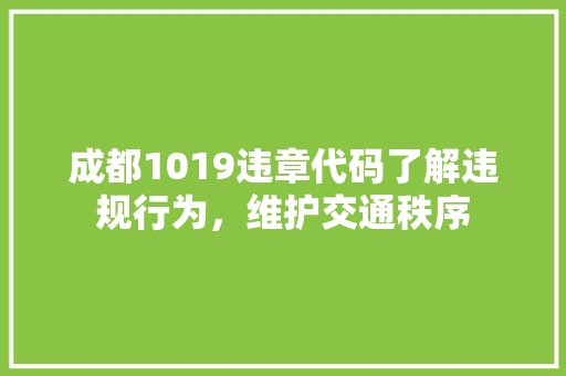 成都1019违章代码了解违规行为，维护交通秩序