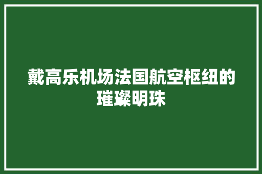 戴高乐机场法国航空枢纽的璀璨明珠