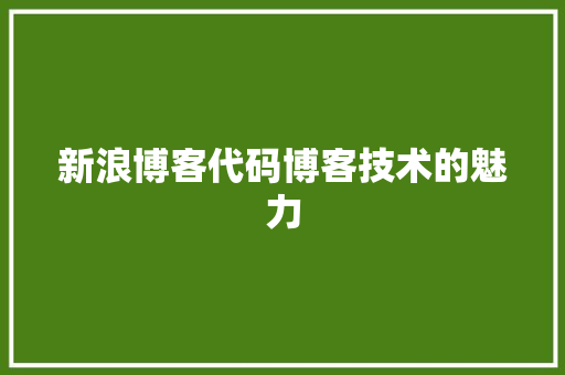 新浪博客代码博客技术的魅力
