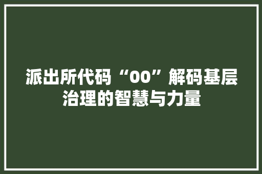派出所代码“00”解码基层治理的智慧与力量