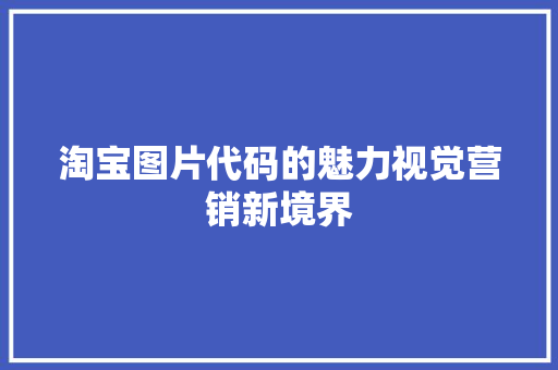 淘宝图片代码的魅力视觉营销新境界