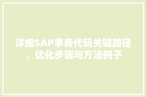 详细SAP事务代码关键路径、优化步骤与方法例子