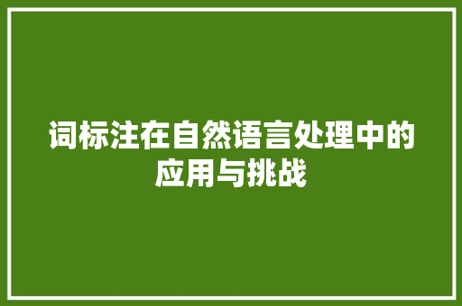 词标注在自然语言处理中的应用与挑战