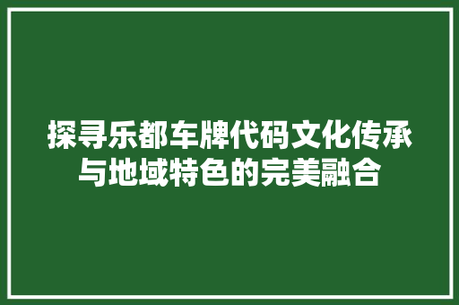 探寻乐都车牌代码文化传承与地域特色的完美融合  第1张