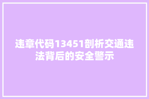 违章代码13451剖析交通违法背后的安全警示