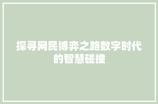 探寻网民博弈之路数字时代的智慧碰撞