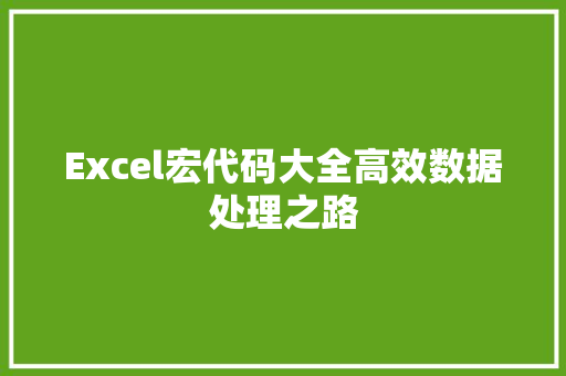 Excel宏代码大全高效数据处理之路  第1张