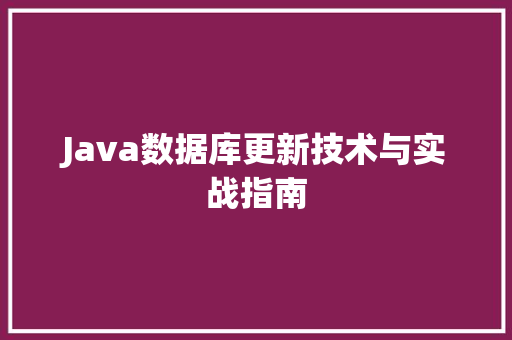 Java数据库更新技术与实战指南