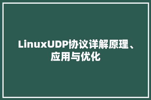 LinuxUDP协议详解原理、应用与优化