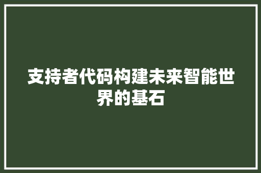 支持者代码构建未来智能世界的基石