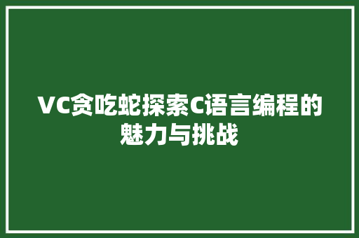 VC贪吃蛇探索C语言编程的魅力与挑战