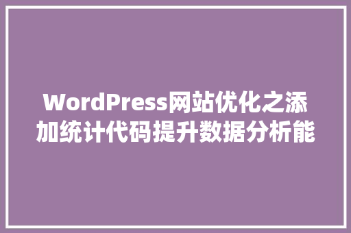 WordPress网站优化之添加统计代码提升数据分析能力，助力网站发展