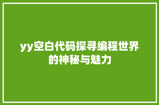 yy空白代码探寻编程世界的神秘与魅力