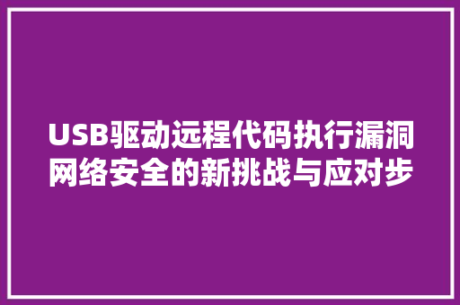 USB驱动远程代码执行漏洞网络安全的新挑战与应对步骤