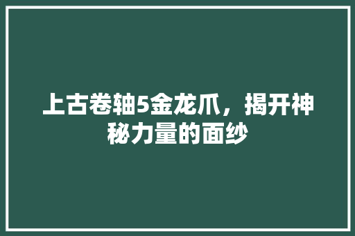 上古卷轴5金龙爪，揭开神秘力量的面纱
