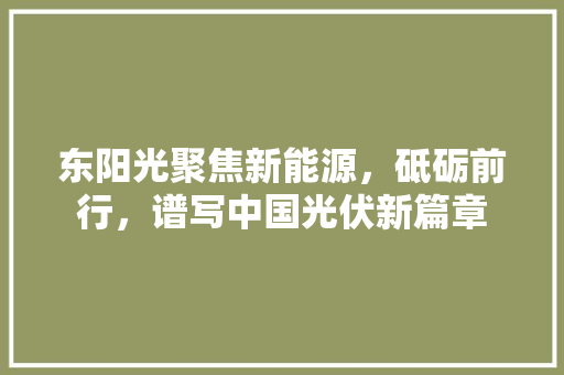 东阳光聚焦新能源，砥砺前行，谱写中国光伏新篇章