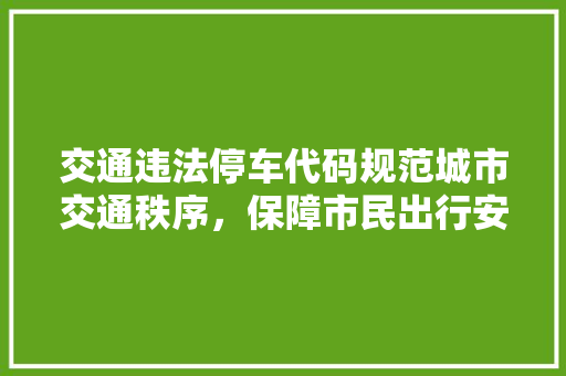 交通违法停车代码规范城市交通秩序，保障市民出行安全