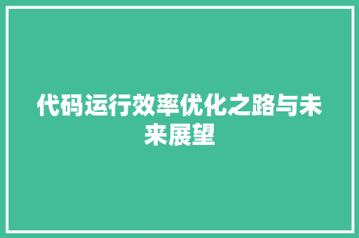 代码运行效率优化之路与未来展望