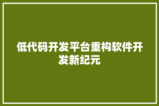 低代码开发平台重构软件开发新纪元