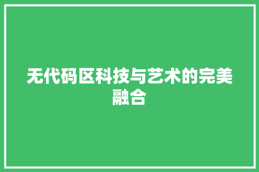 无代码区科技与艺术的完美融合