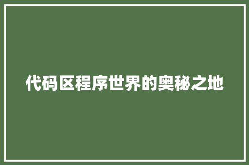 代码区程序世界的奥秘之地