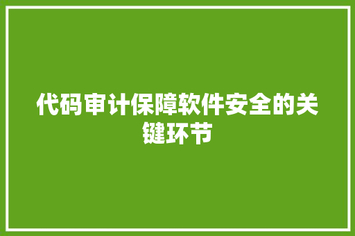 代码审计保障软件安全的关键环节