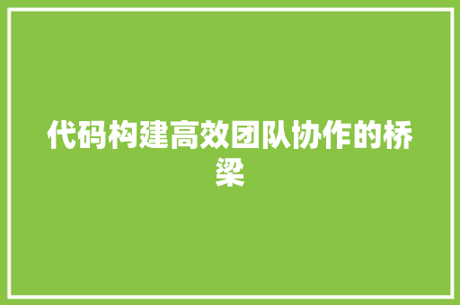 代码构建高效团队协作的桥梁