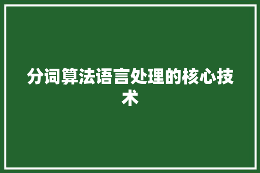 分词算法语言处理的核心技术