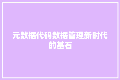 元数据代码数据管理新时代的基石