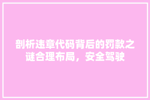 剖析违章代码背后的罚款之谜合理布局，安全驾驶
