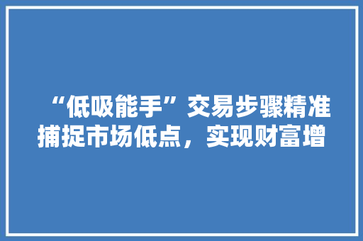 “低吸能手”交易步骤精准捕捉市场低点，实现财富增值