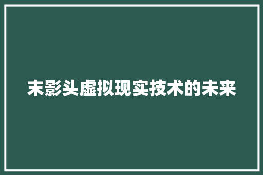 末影头虚拟现实技术的未来