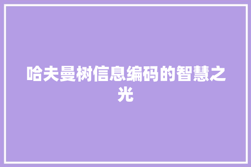 哈夫曼树信息编码的智慧之光