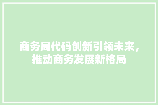 商务局代码创新引领未来，推动商务发展新格局