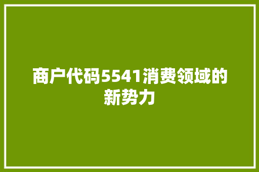 商户代码5541消费领域的新势力