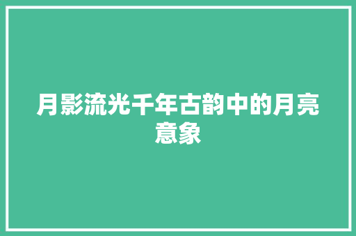 月影流光千年古韵中的月亮意象